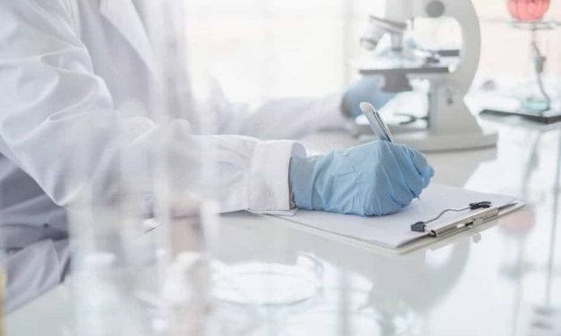 The Processes Involved In Research & Scientific Writing