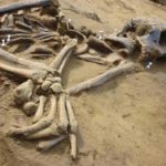 Helpful Tips on Successful Anthropological Writing